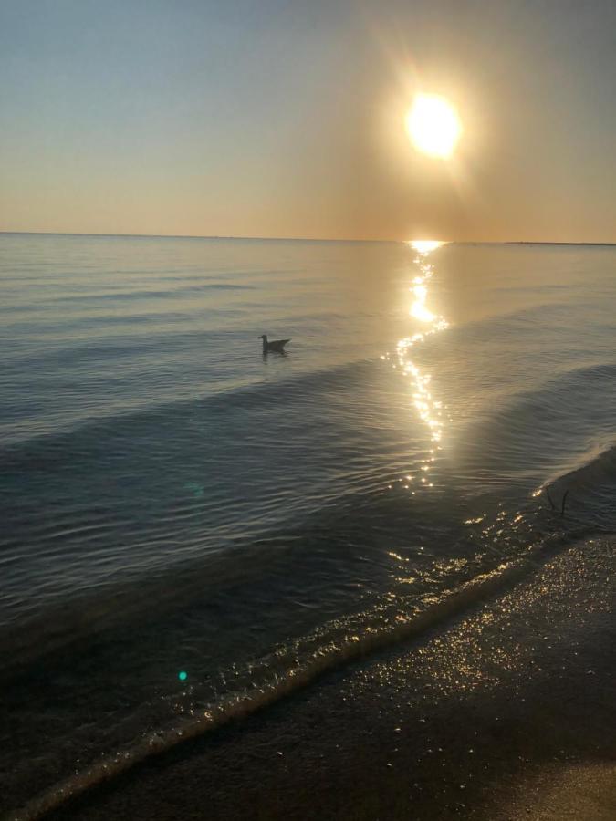 Primera Linea De Playa A 1km Del Puerto De Apartment *